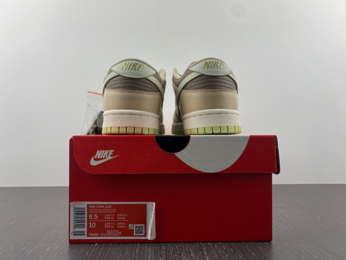 nike dunk low fb4961-012