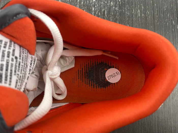 nike sb dunk low staple nyc pigeon 304292-011