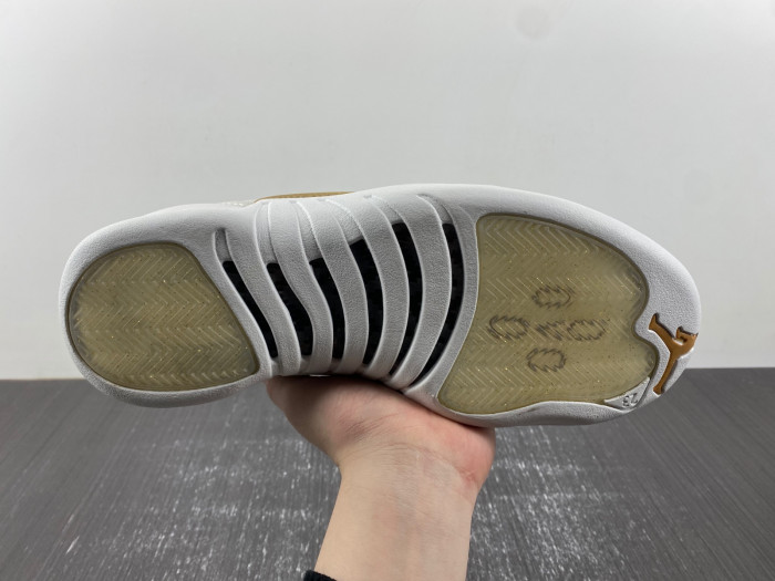 air jordan 12 aj120221