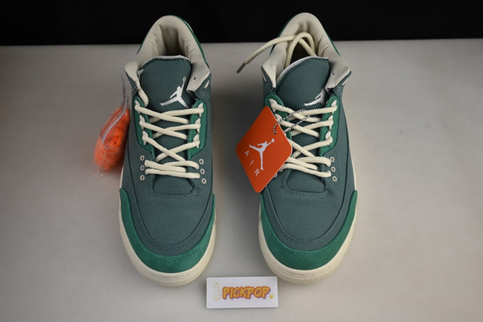 nina Ch*el abney x air jordan 3 fz7974-300