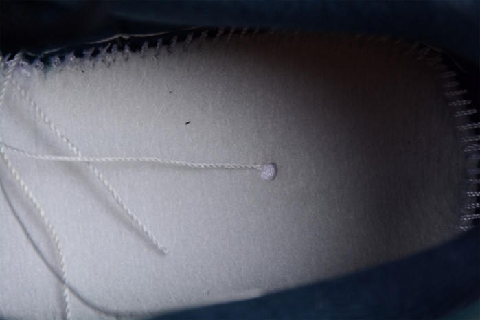 nike dunk low retro armory navy dr9705-300