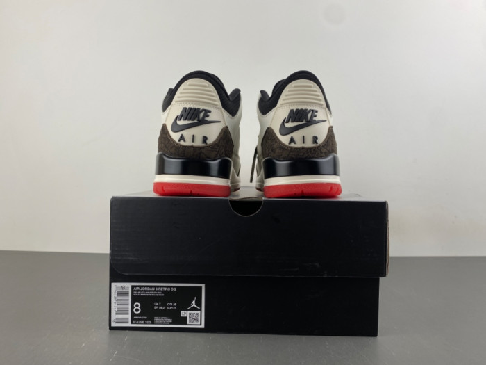 Air Jordan 3 Retro World