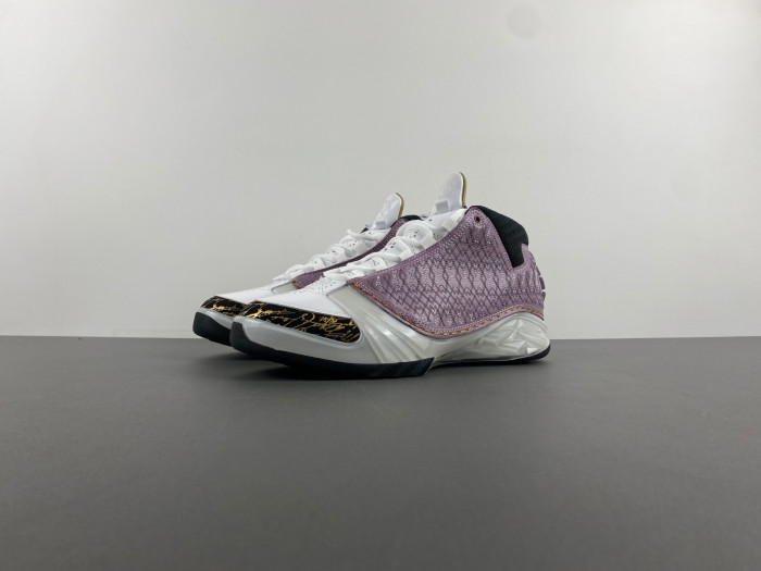 Air Jordan 23 White Stealth 318376-102
