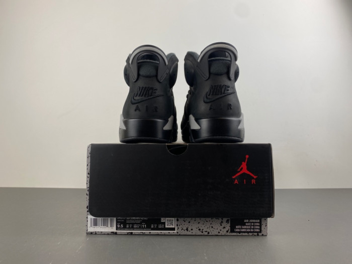 Air Jordan 6 Retro Cap and Gown IR2266-010